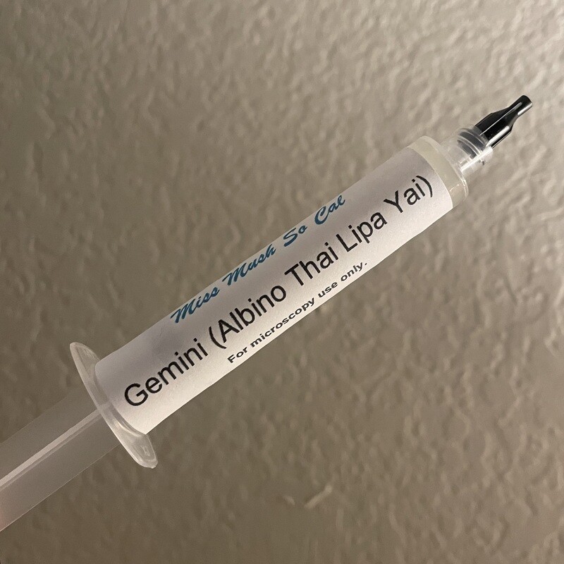 Gemini LC