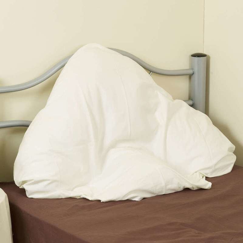 BATWING PILLOW PILLOWCASE - white
