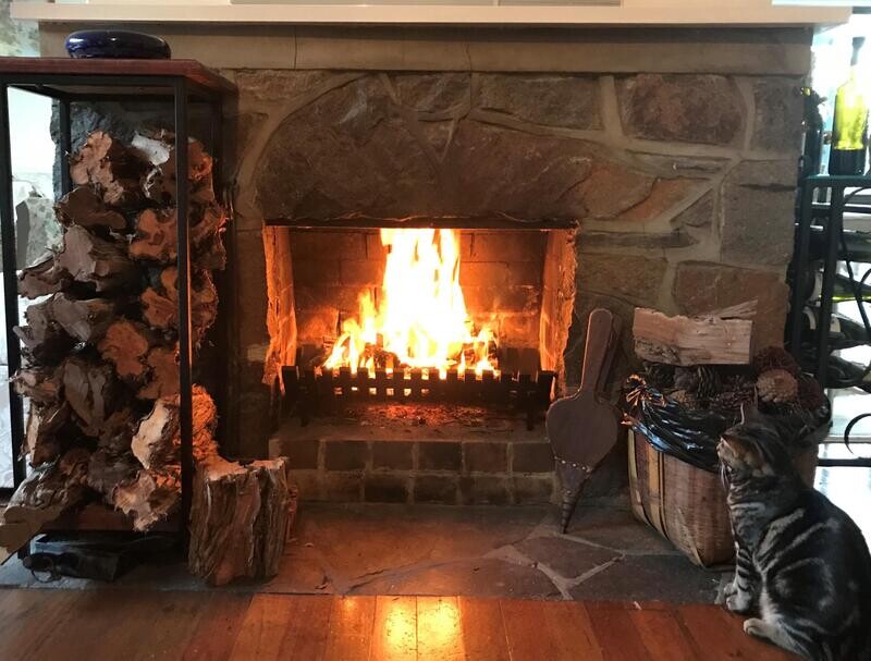 Log Grates - Fireplace Grates - Cast Iron Heavy Duty
