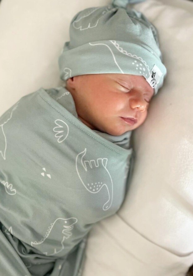 Newborn Swaddle Set - Duck Egg Dino