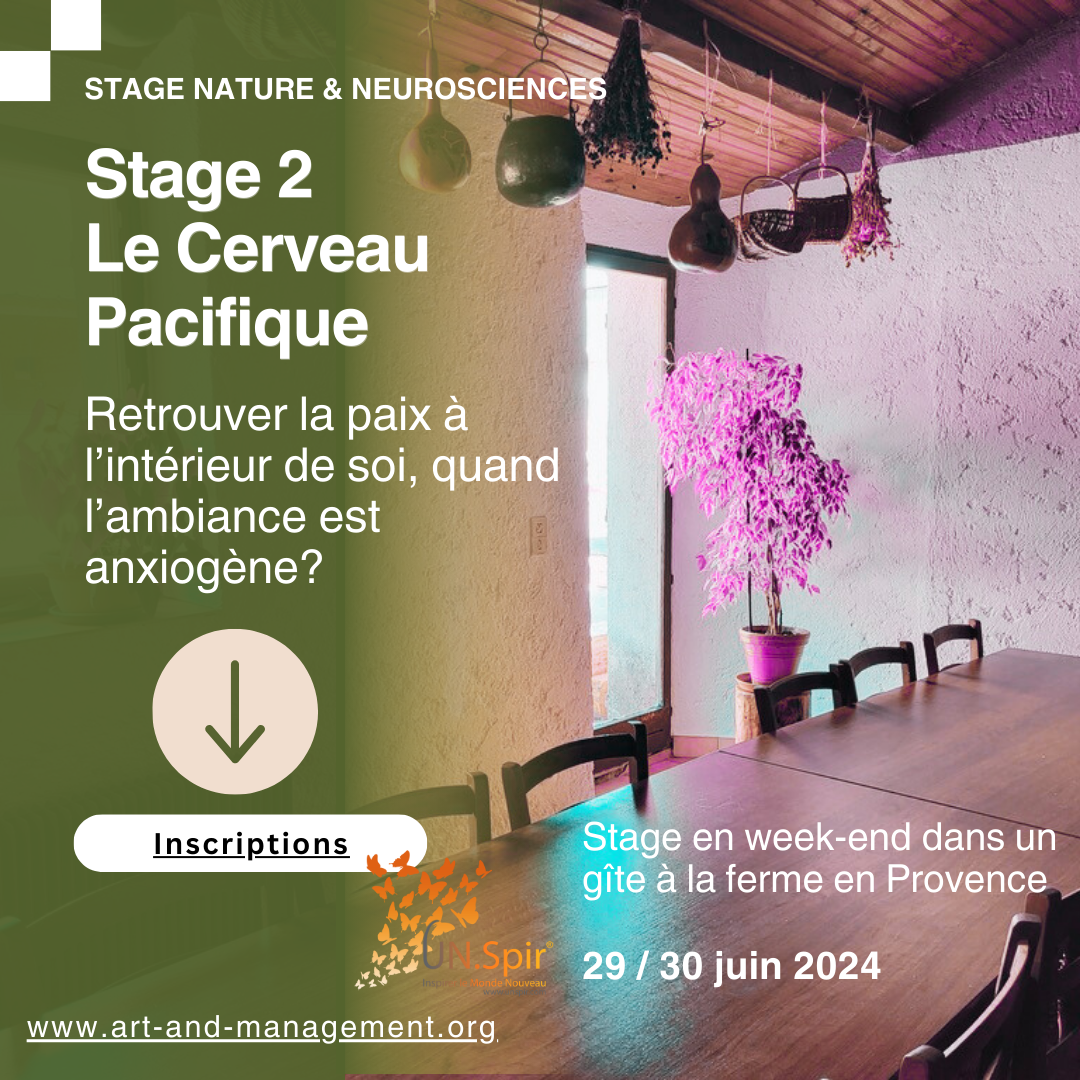 Stages Nature & Neurosciences - Stage 2 - Le Cerveau Pacifique