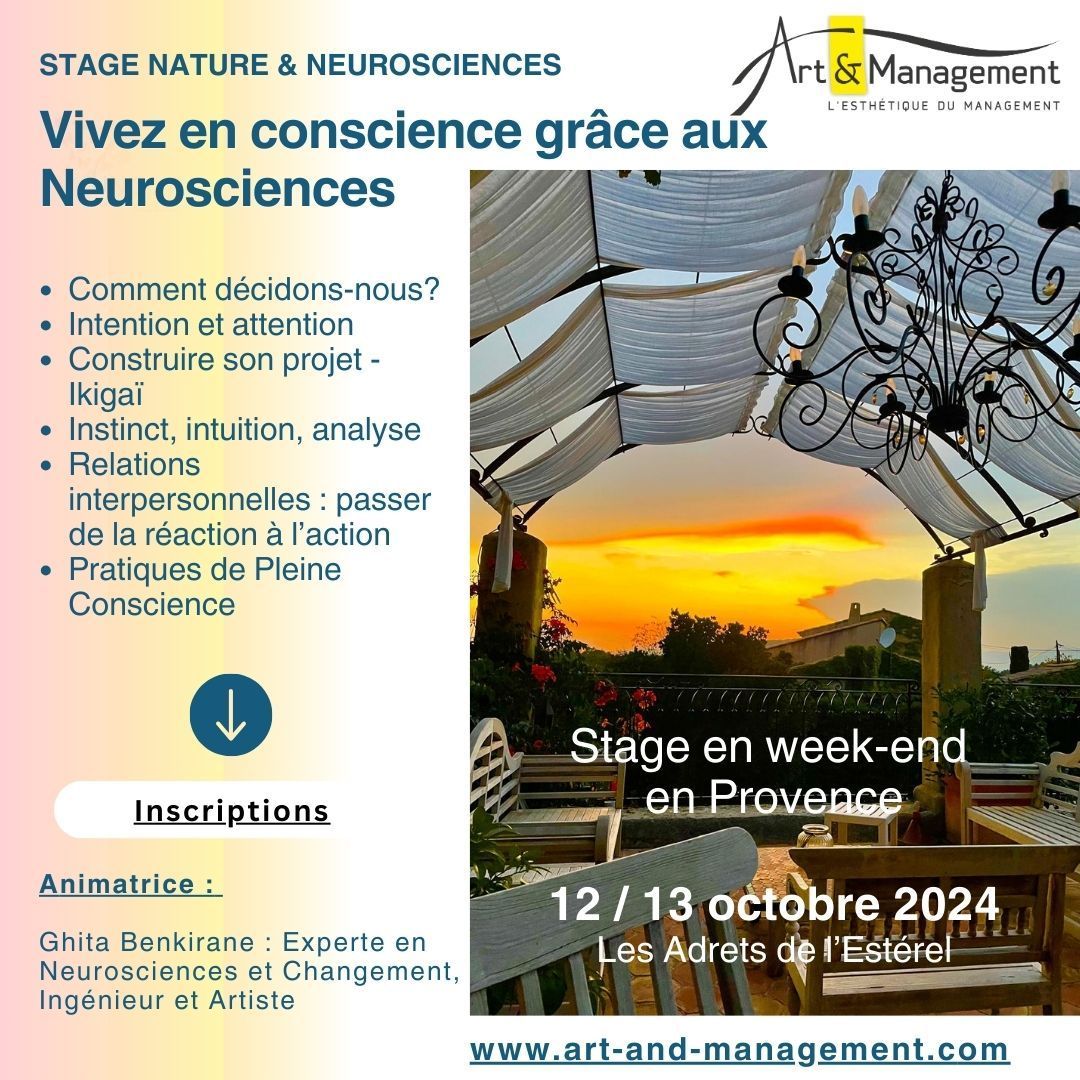 Stage  - Vivre en conscience par les Neurosciences