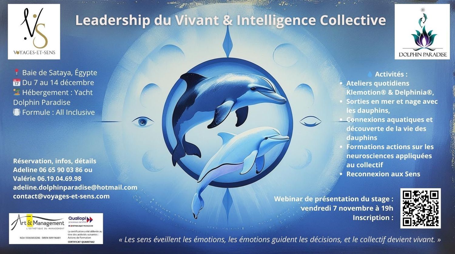 Stage Dolphin Paradise - Égypte