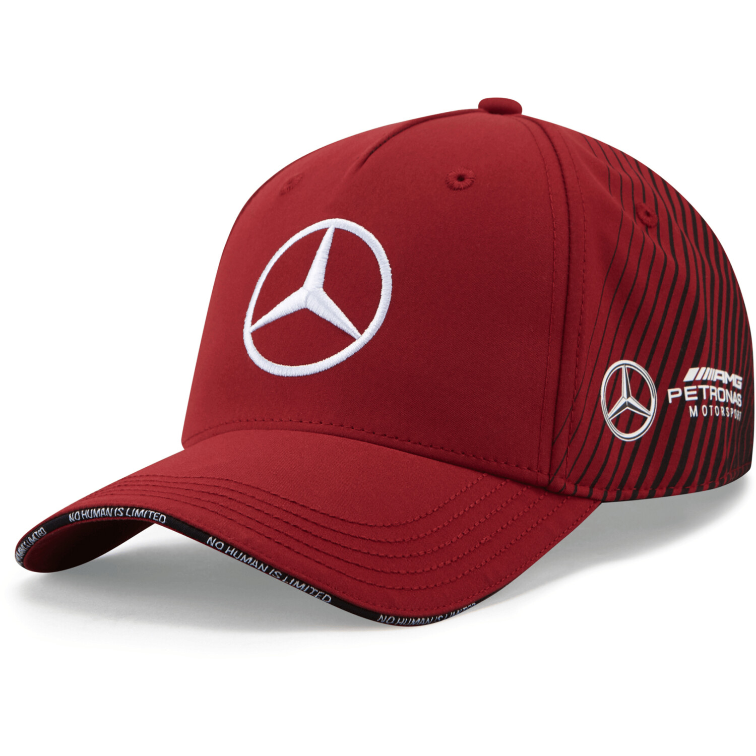 Mercedes Benz AMG Petronas F1 2021 Team 
