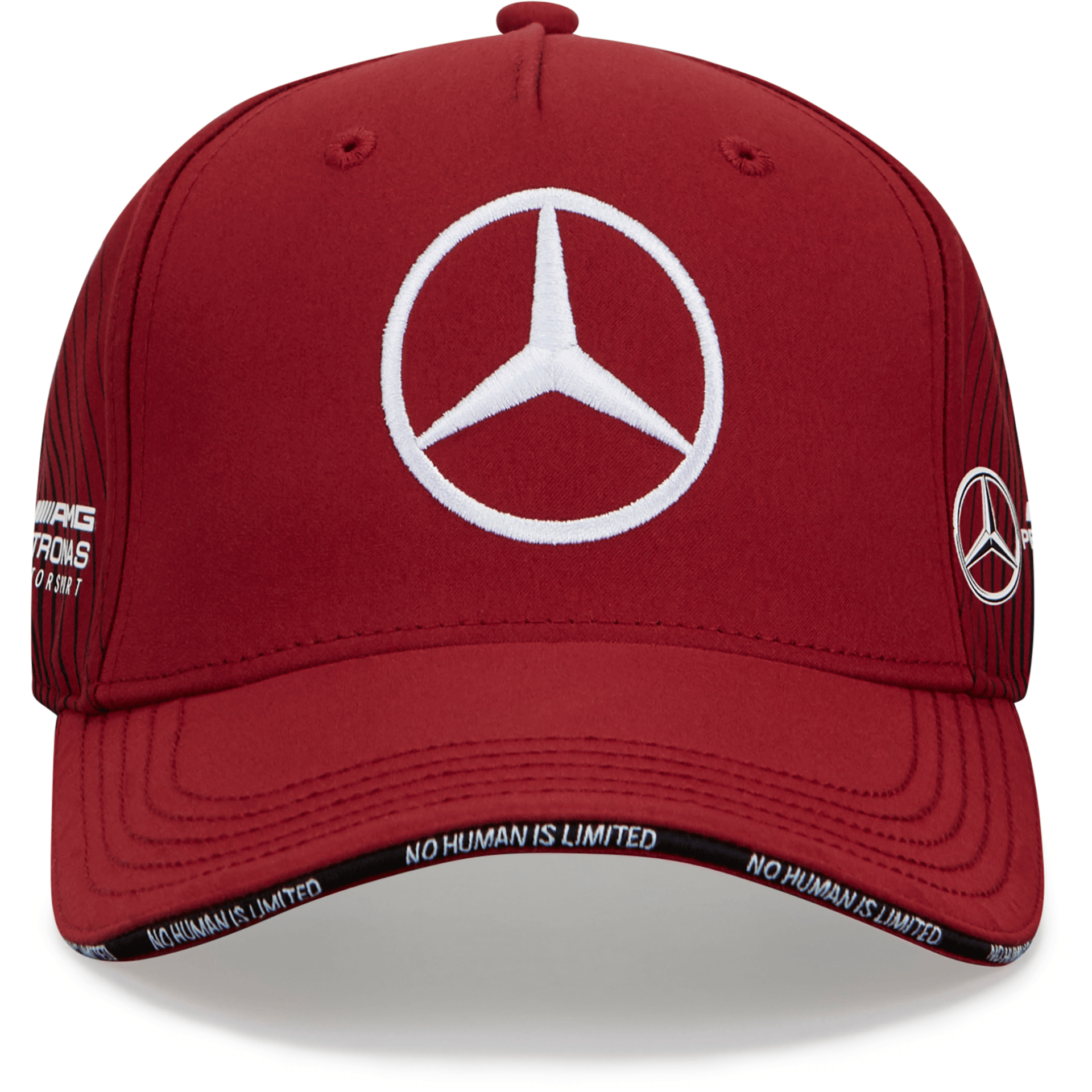 Mercedes Benz AMG Petronas F1 2021 Team 