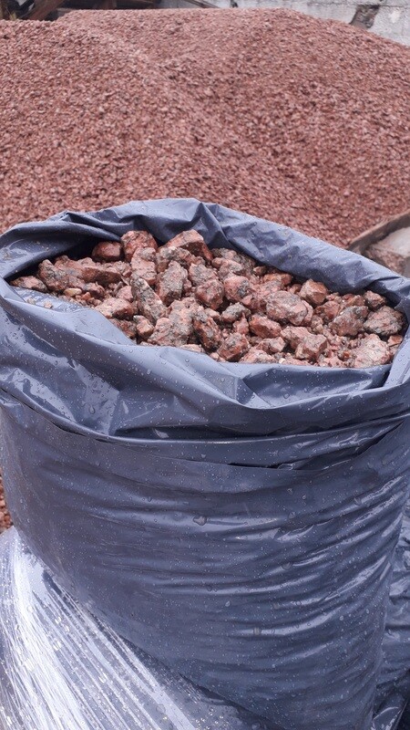 PEDREGULLO TACHO