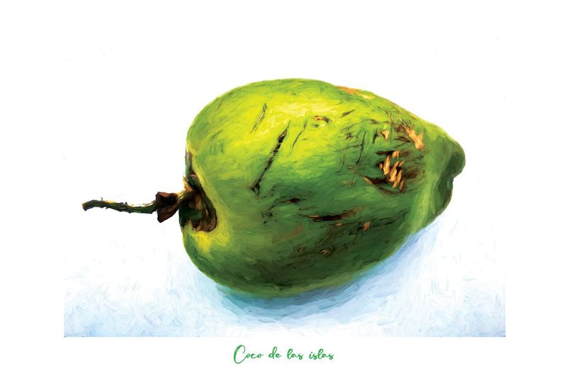 Coco de las islas