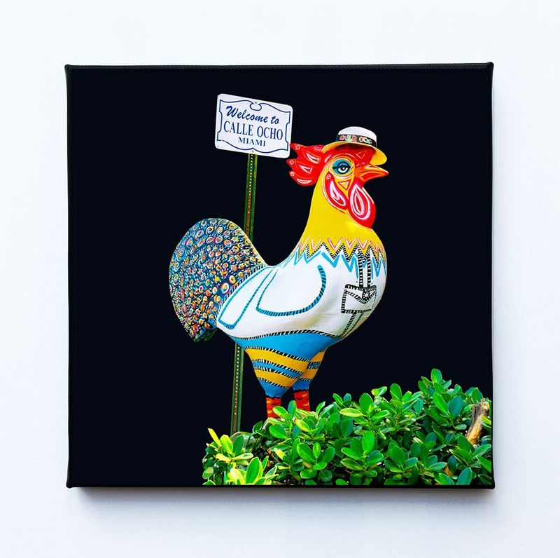 Rooster with a hat 8 X 8 canvas