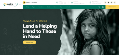 Nonprofit Website (11-15 Pages)