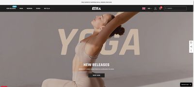 Ecommerce Website Standard