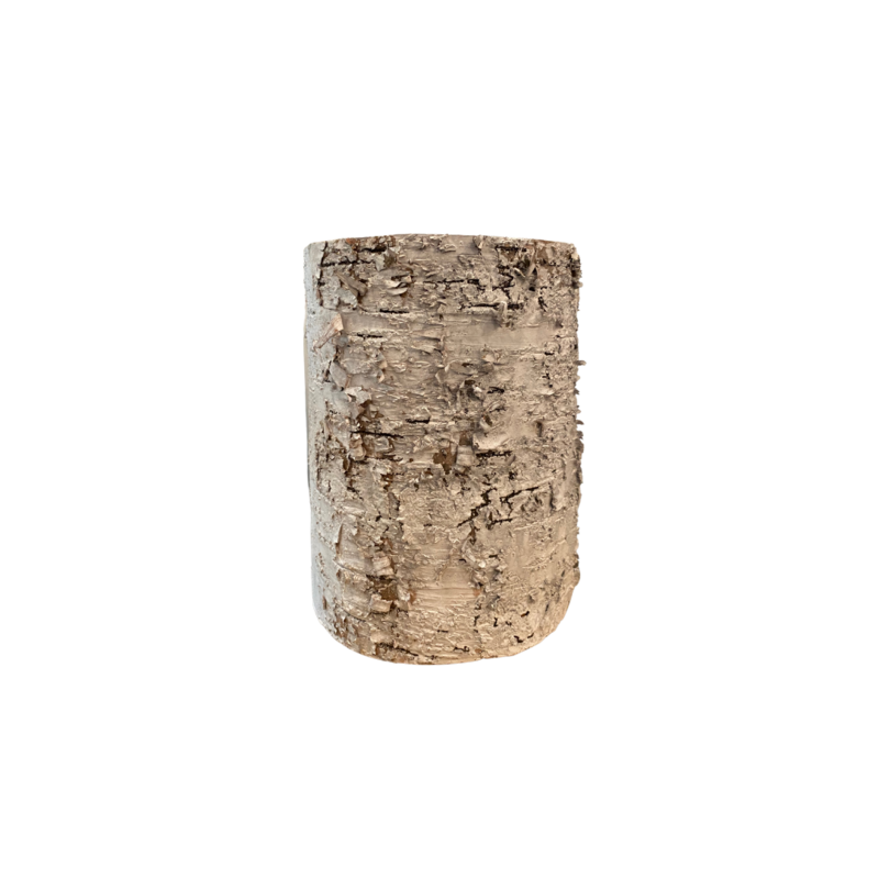 Medium Birch Container