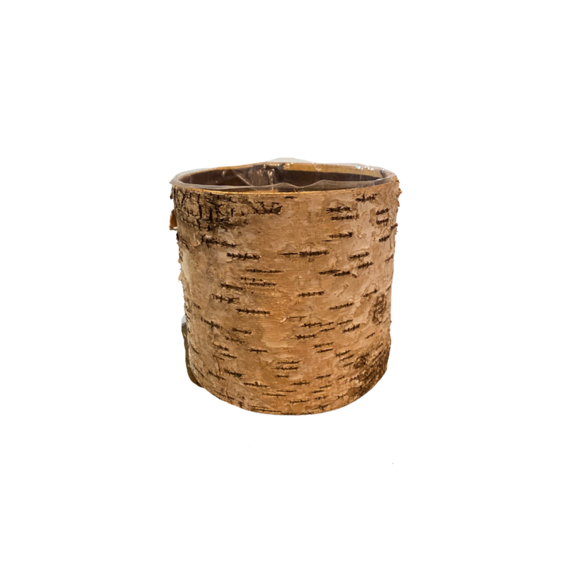 Small Birch Container