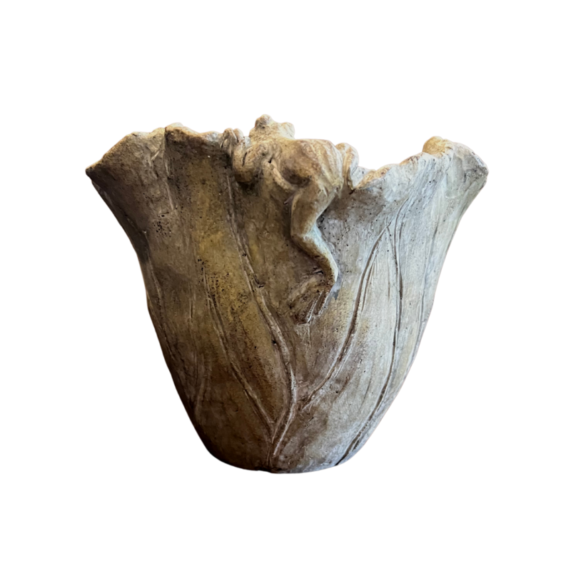 Cabbage Pot
