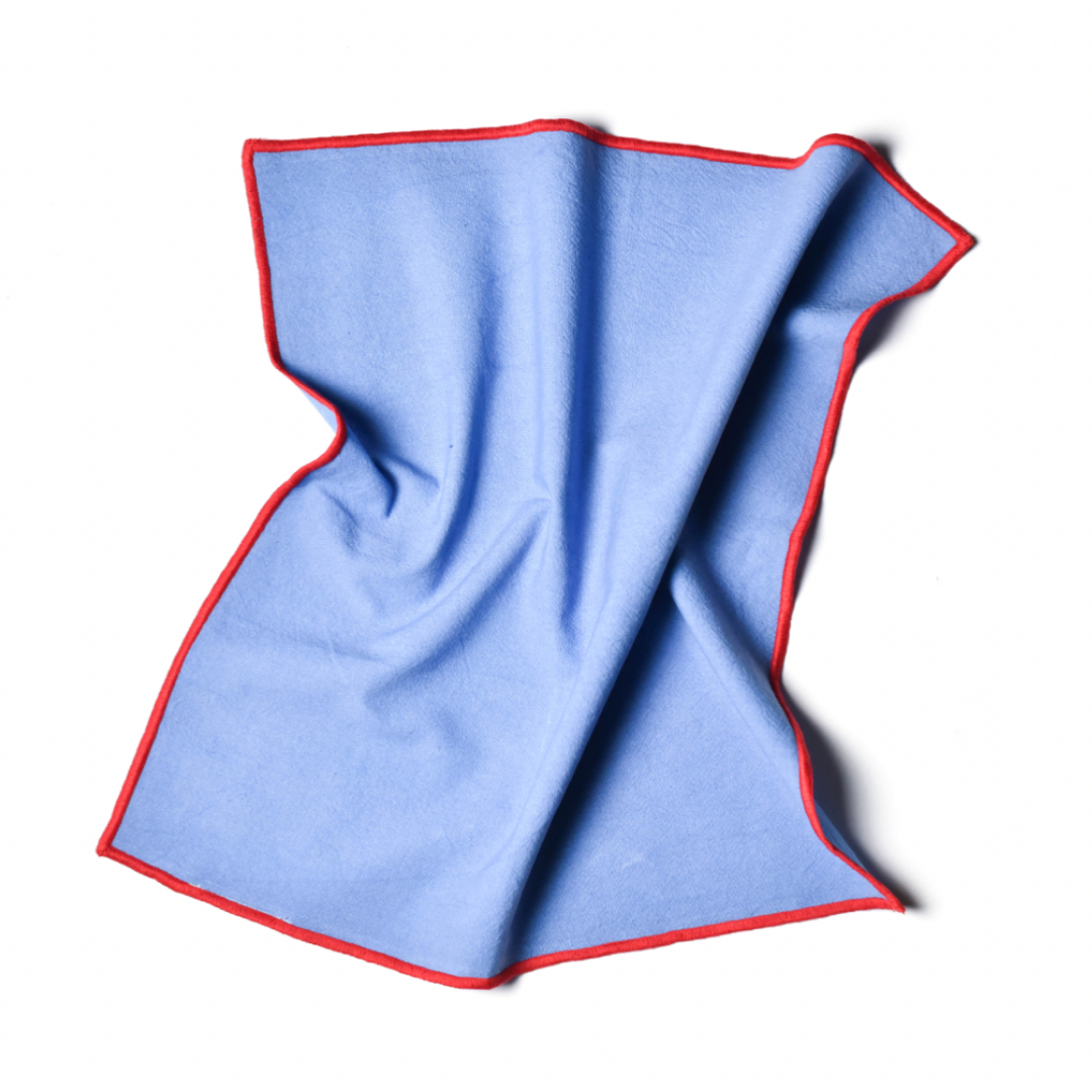 Blue and Red Dinner Napkins (Set of 4)