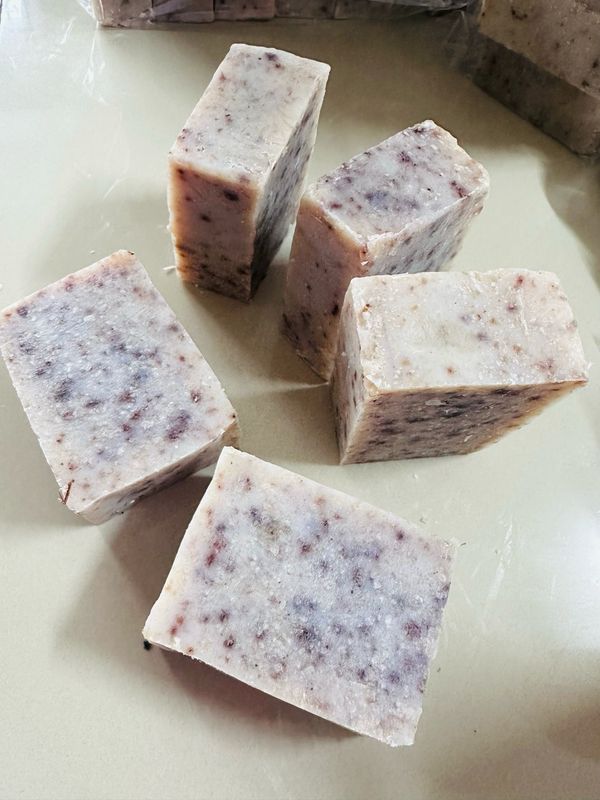 PET SOAP PACK