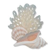2 Shells and Coral Fan Wall Art