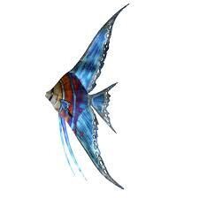 Blue Angelfish Left Facing Metal Wall Art