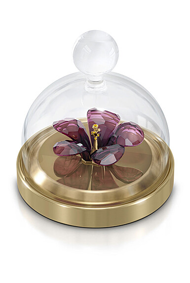 Swarovski - Garden Tales Hibiscus Bell Jar