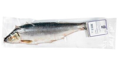 Salted Cleaned Herring Head On Vacuum Packed $2.95 lb