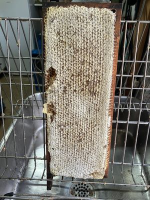 Hoeksce Waadse Raat honing € 38,00  2.75 KG.    Afhalen  Deze honingraat klomplet word NIET verzonden