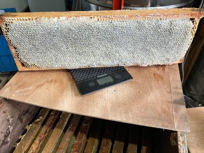 Hoekse Waardse Raathoning Balsemien € 47,50  /     26.50 KG  wel even bellen voor uw komst .Afhalen  Deze honingraat klomplet word niet verzonden