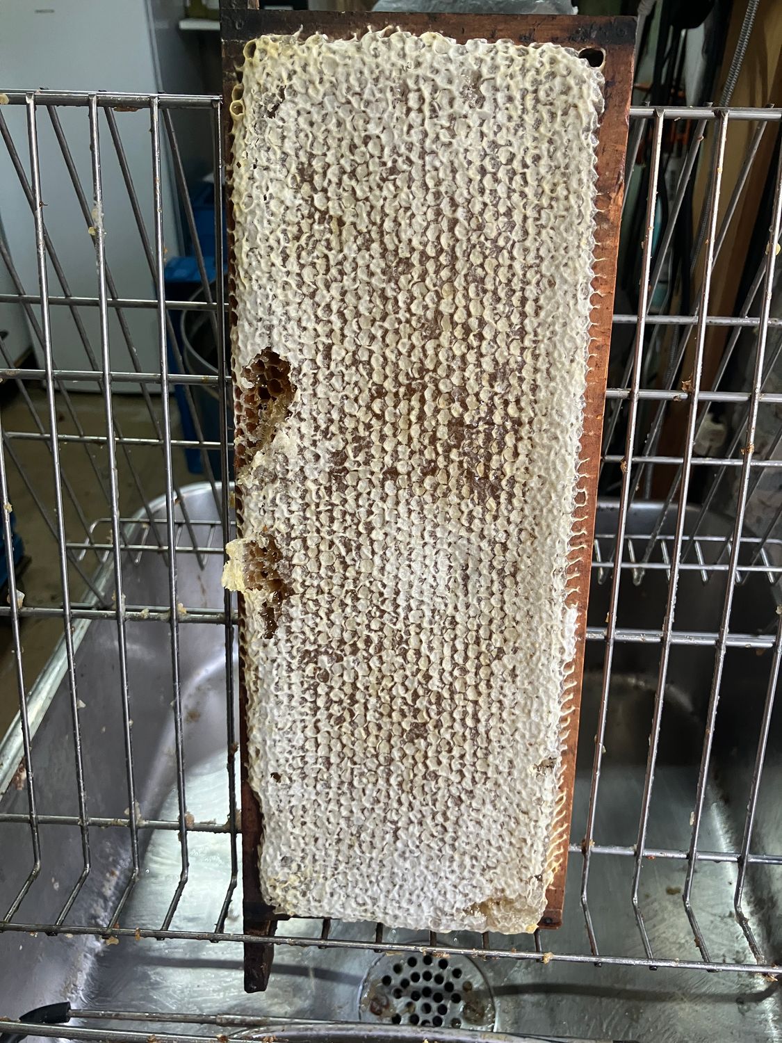 Hoeksce Waadse Raat honing € 38,00/± 16.50 KG.     Deze honingraat klomplet word  NIET verzonden .      Afhalen  wel even bellen voor uw komst