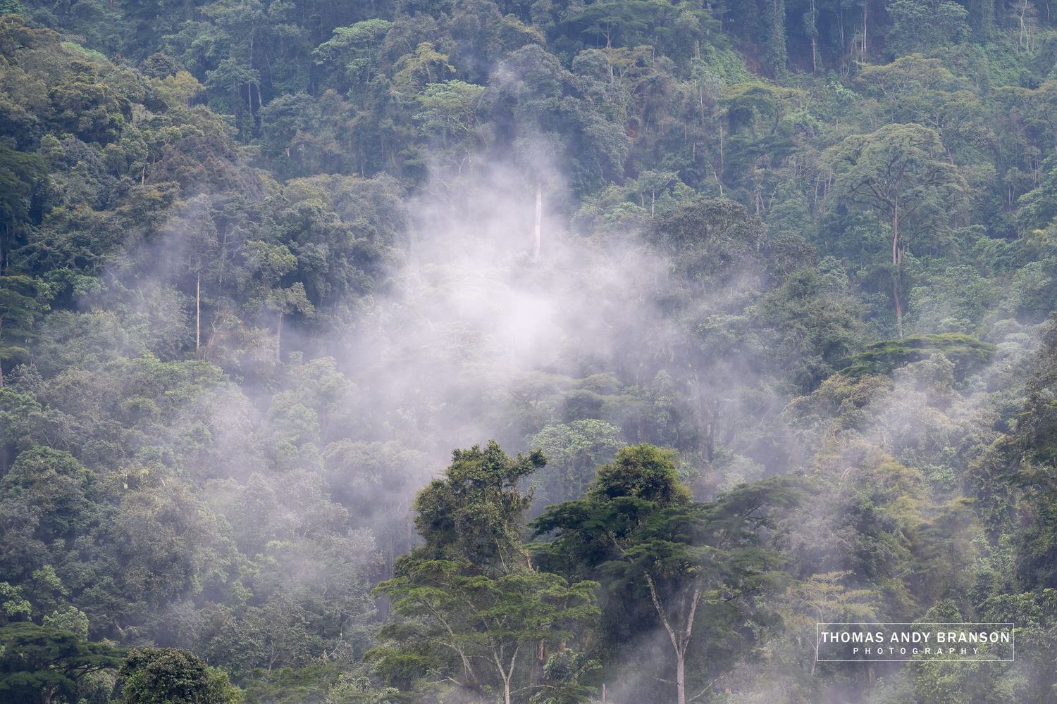Where Giants Hide – Ultra HD Photo Print, Limited Edition