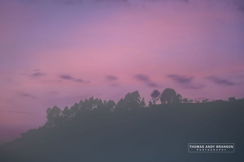Painted Silence – Ultra HD Photo Print, Limited Edition