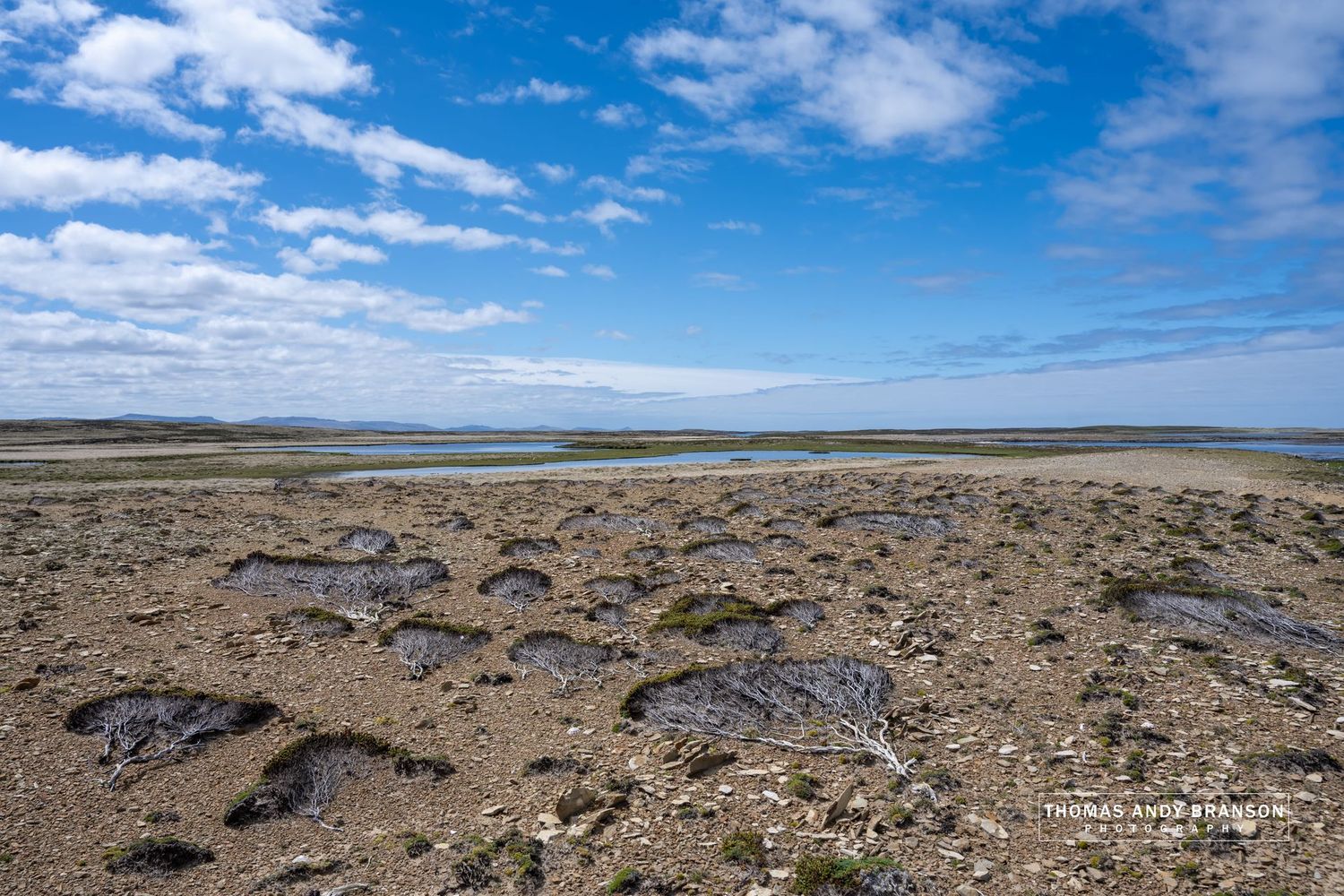 Where the Wind Remains – Ultra HD Photo Print, Limited Edition