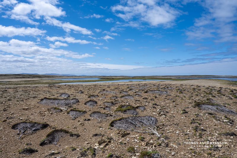 Where the Wind Remains – Ultra HD Photo Print, Limited Edition Where the Wind Remains – Ultra HD Photo Print, Limited Edition