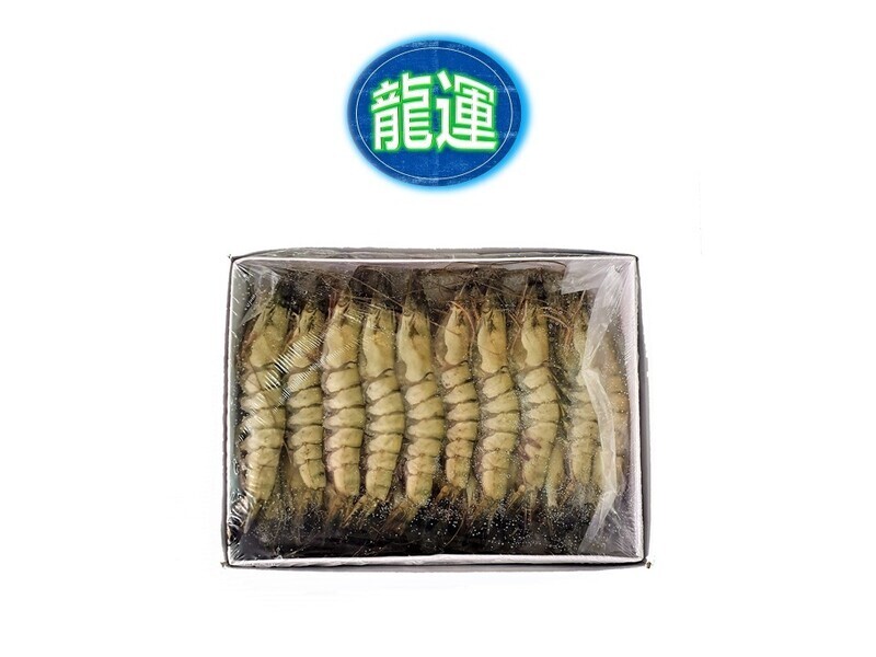Tiger Prawn HOSO 21/25 (1kg) 冷冻生老虎虾 21/25 (1公斤)