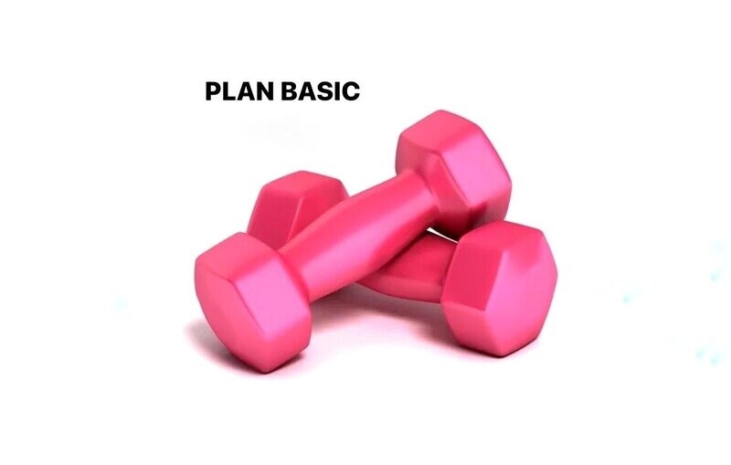 PLAN BASIC