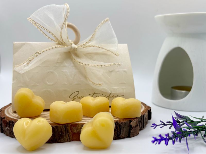 Wax Melt Gift Handbags
