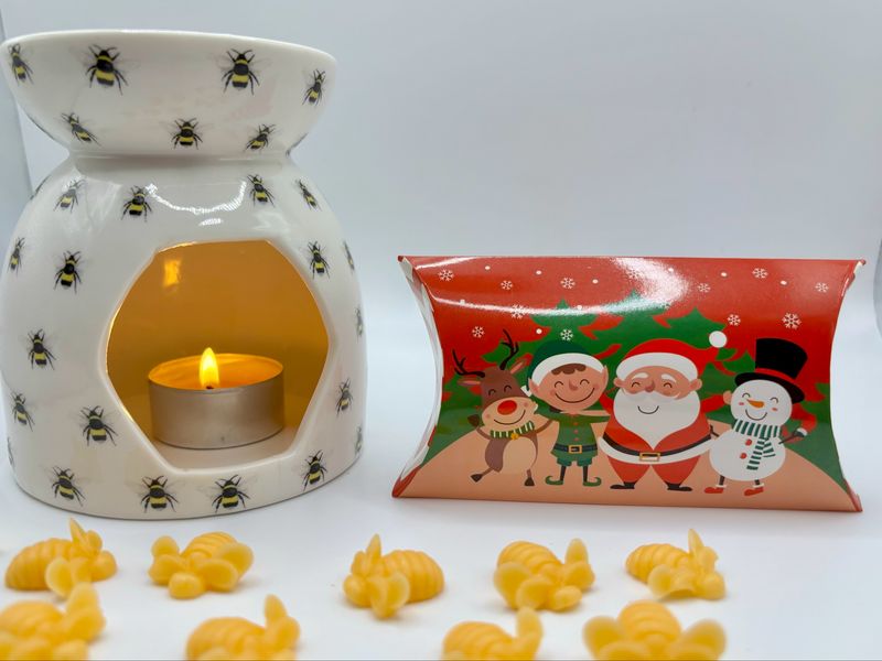 Festive Pillow Mini Bees Gift Box