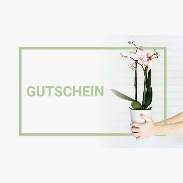Geschenkgutschein 50€ Geschenkgutschein 50€