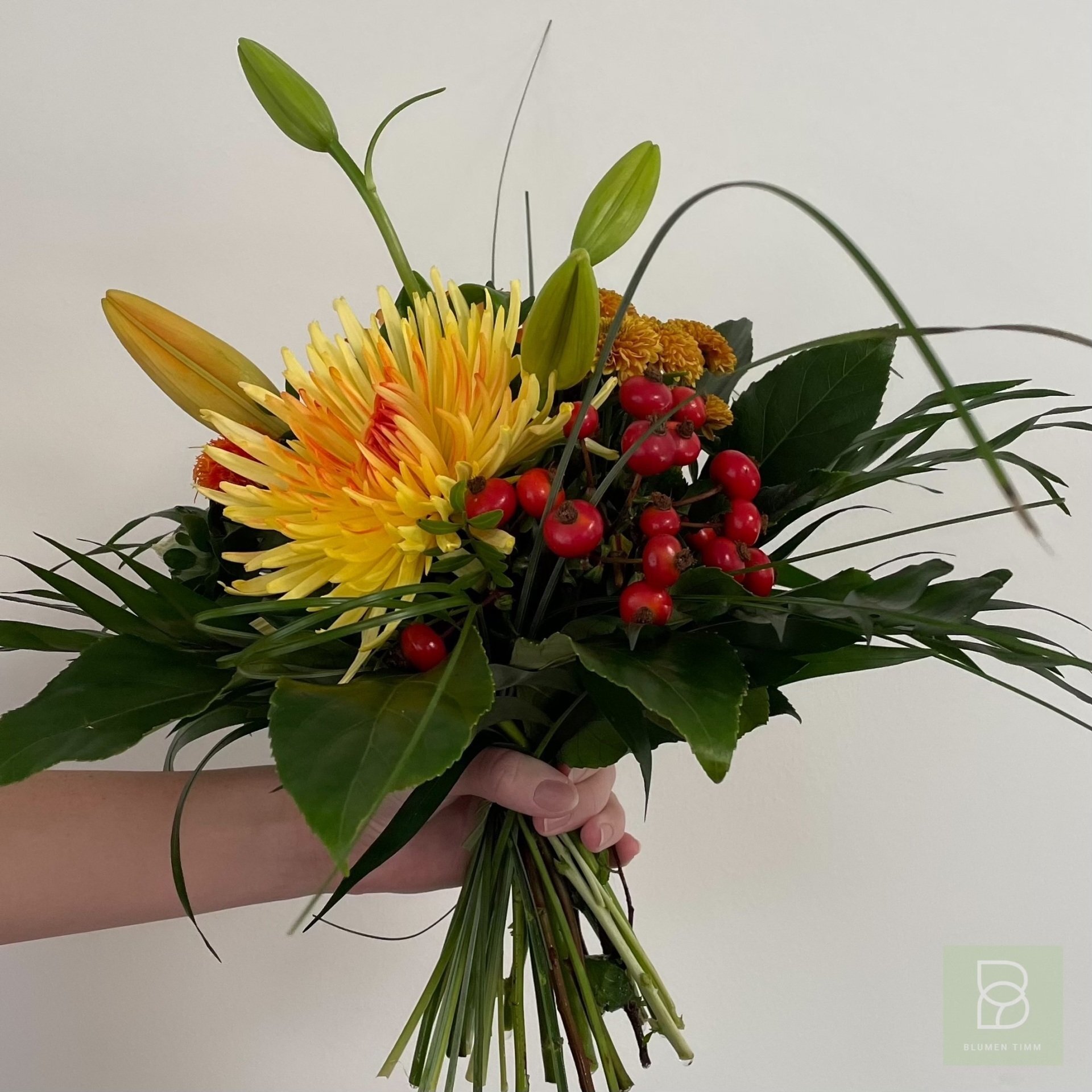 Timms Goldener Oktober