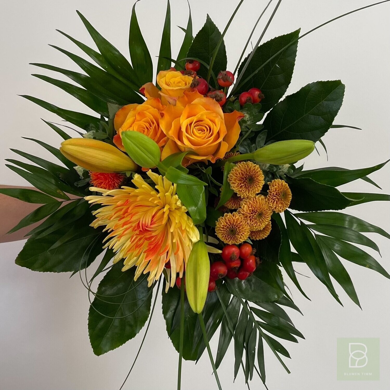 Timms Goldener Oktober