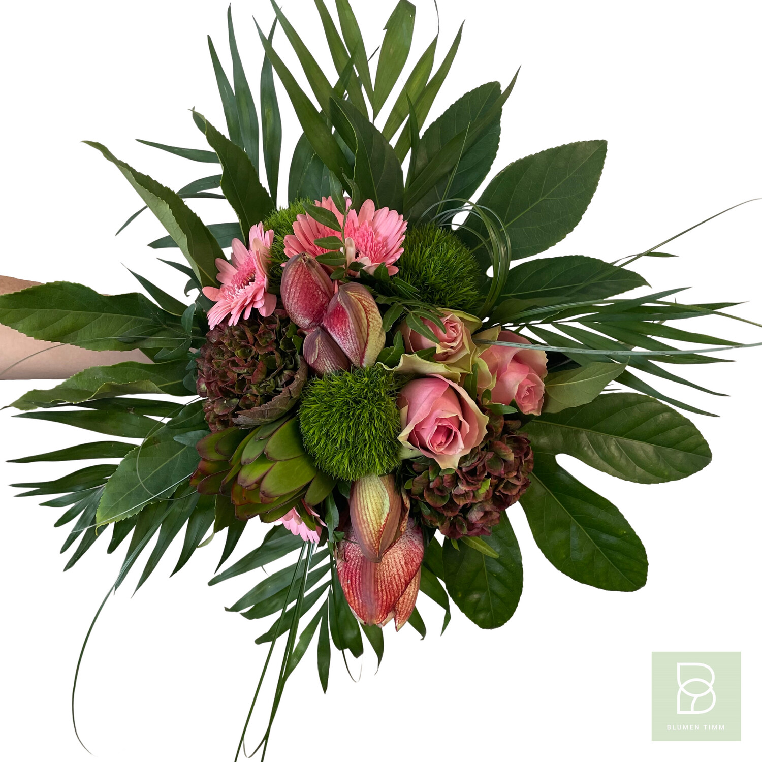 Timms rosa Star Timms rosa Star