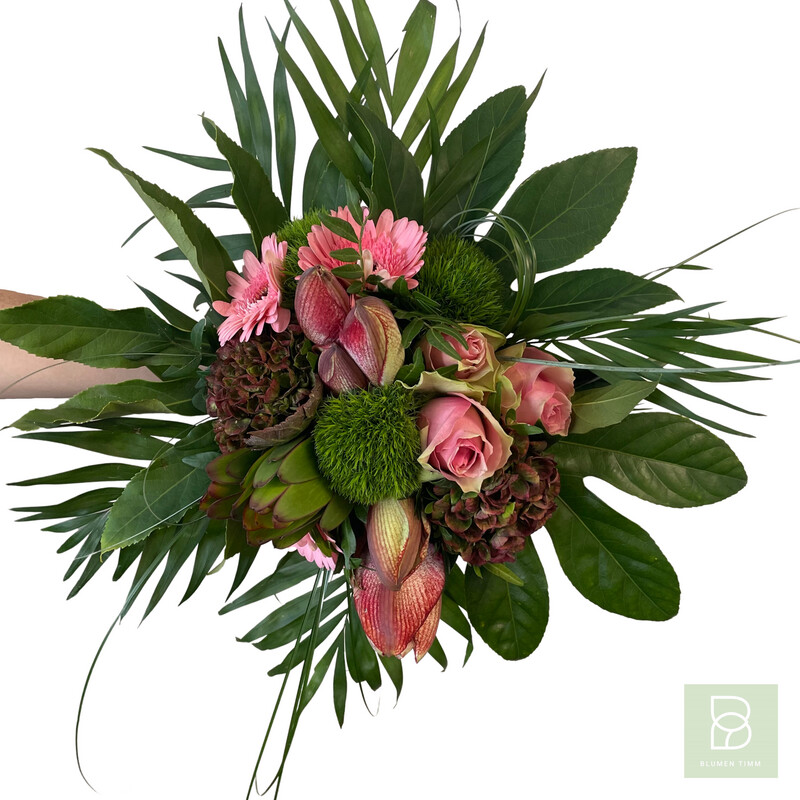 Timms rosa Star Timms rosa Star