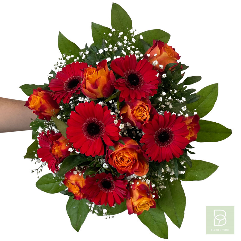 Timms rotes Wunder