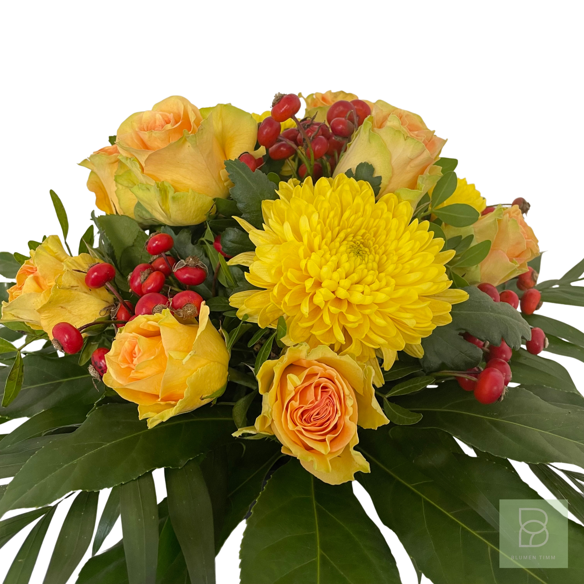 Timms fröhlicher Gruß