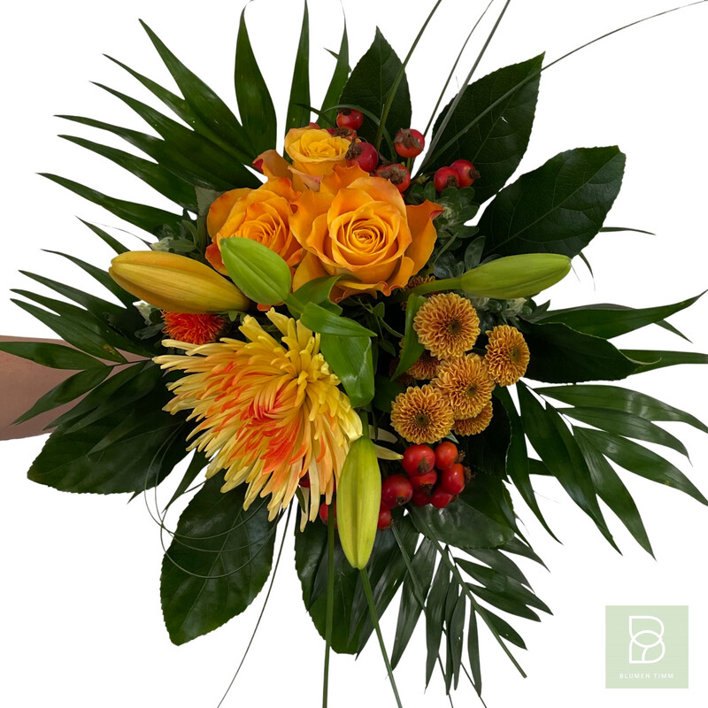 Timms Goldener November Timms Goldener November