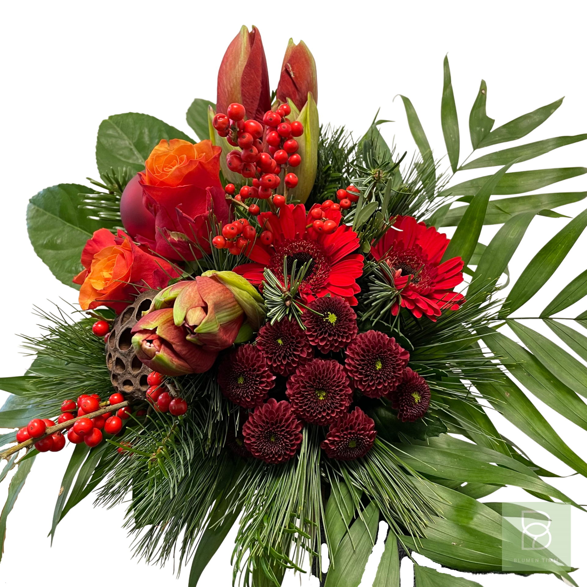 Timms Weihnachtszauber