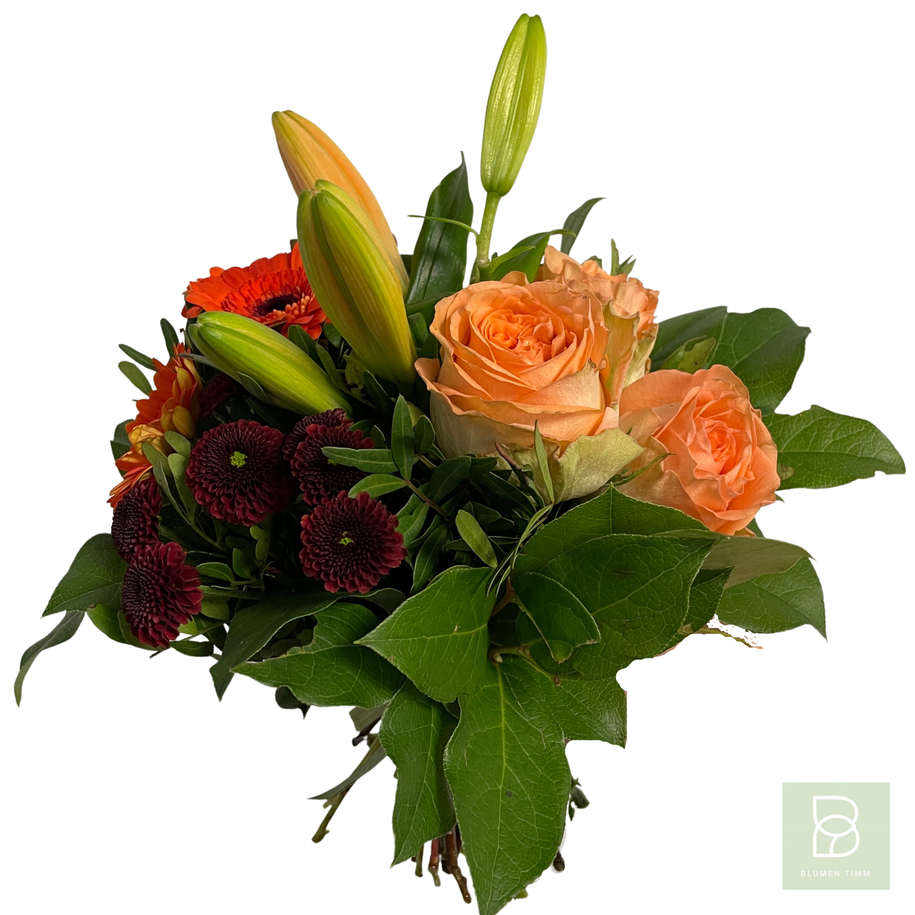 Timms frischer Jahresbeginn