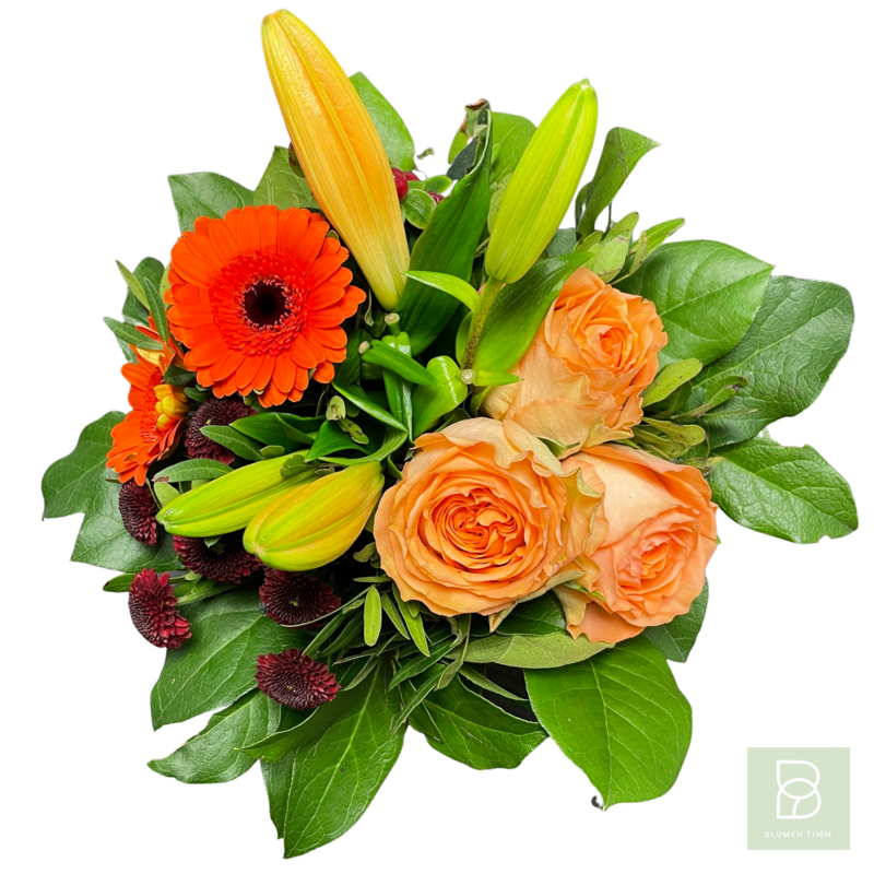 Timms frischer Jahresbeginn Timms frischer Jahresbeginn