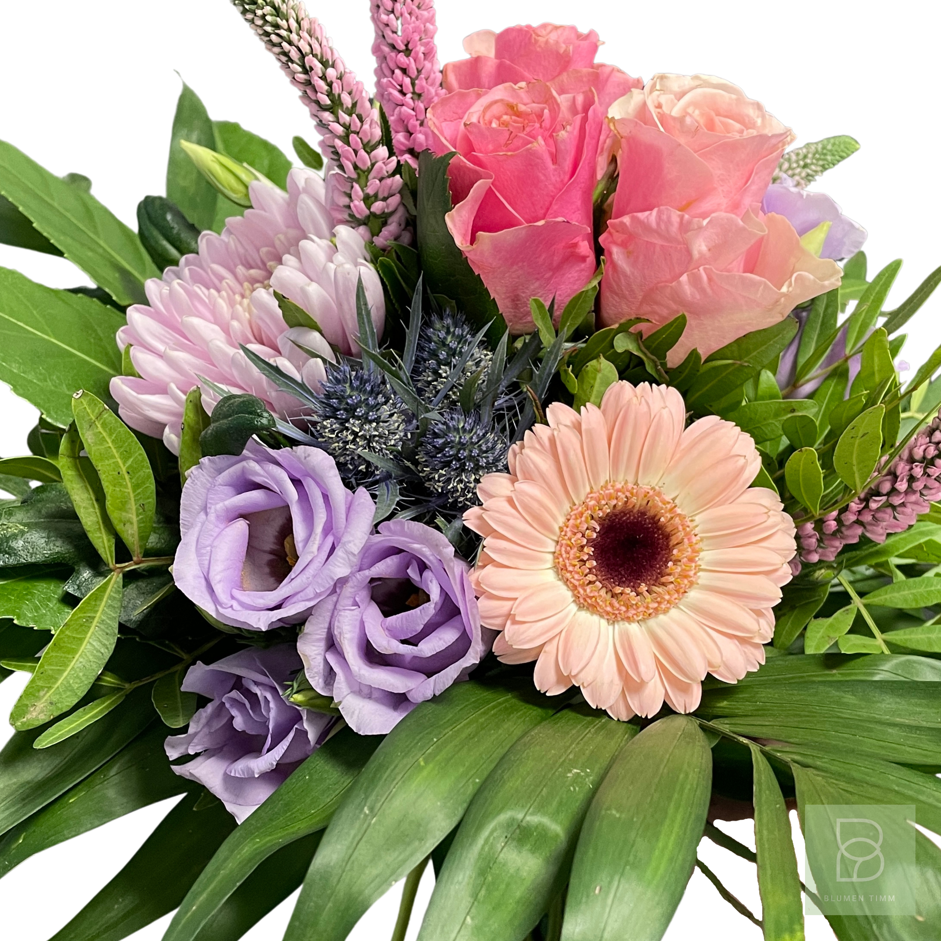 Timms goldener Januar