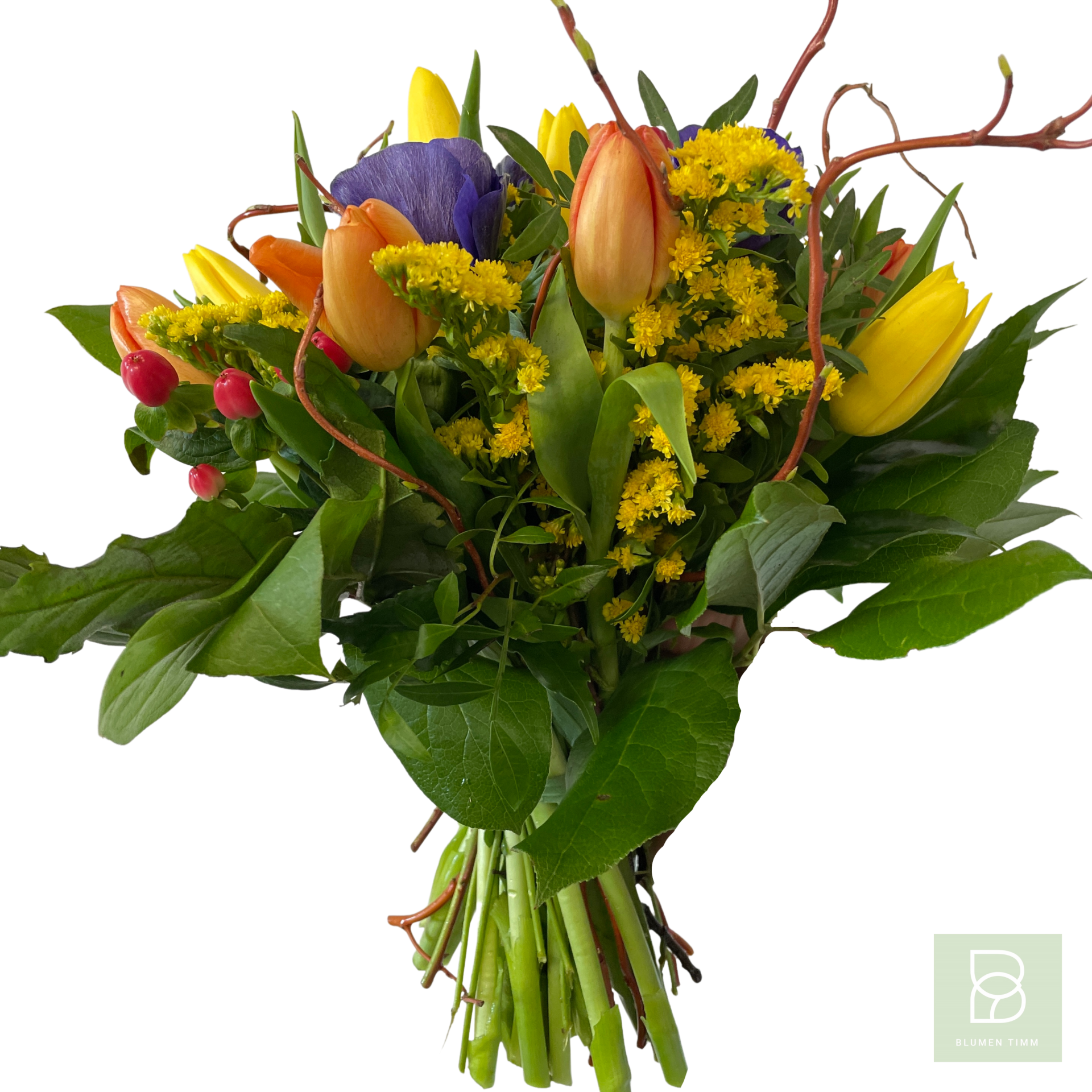 Timms herrlicher Sonnenschein