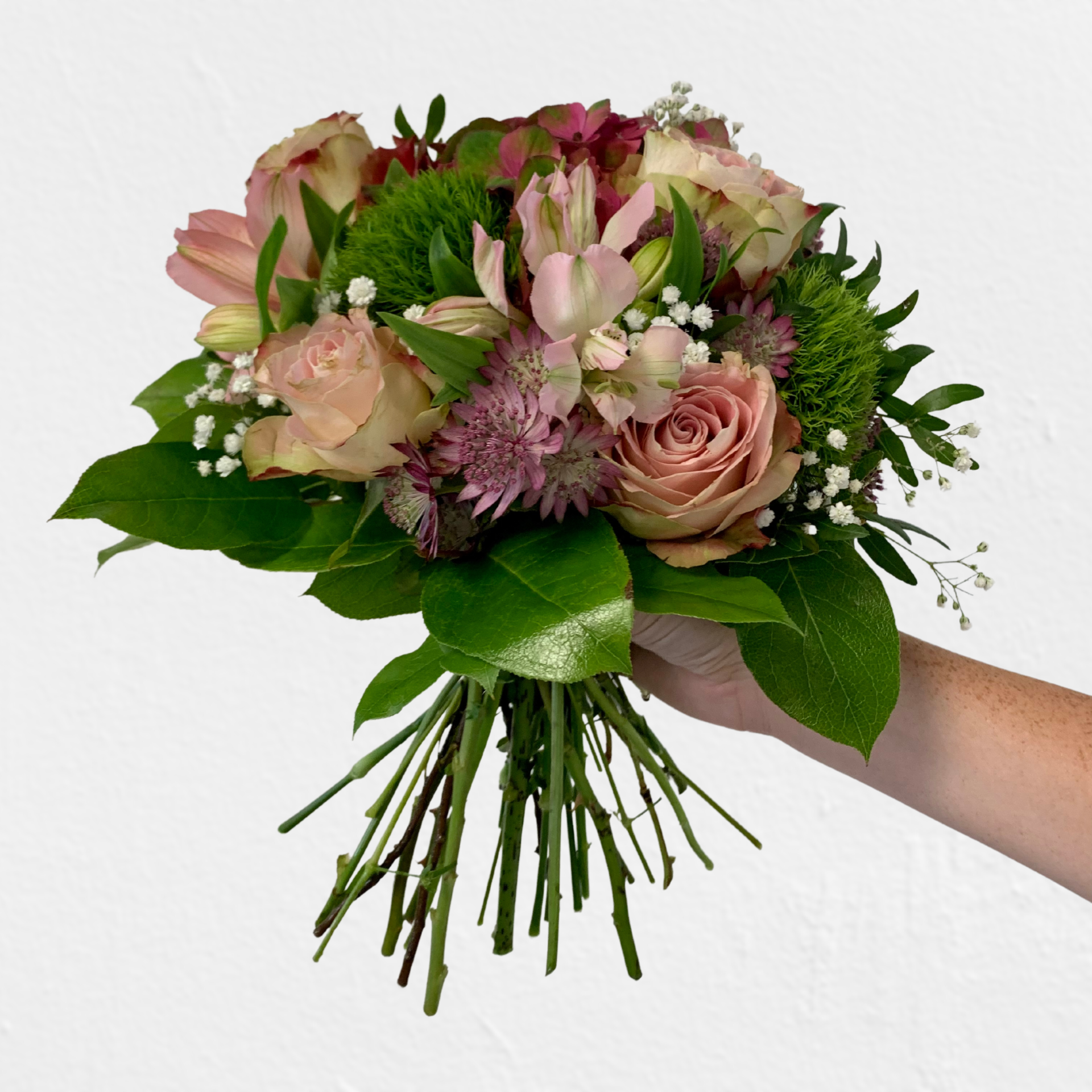 Timms Hortensien Traum