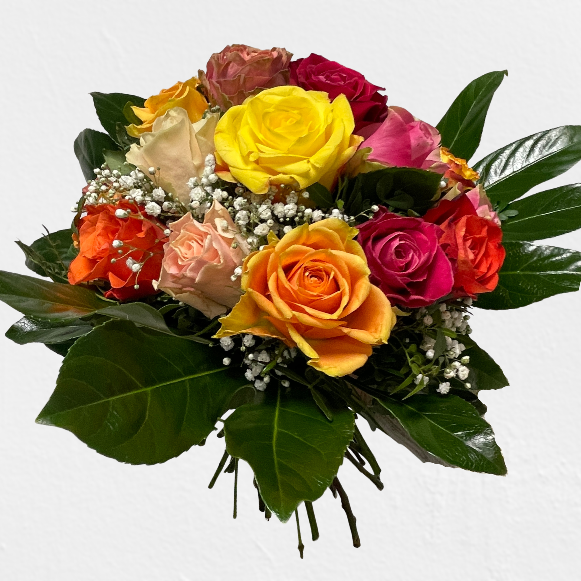 Timms liebevoller Gedanke