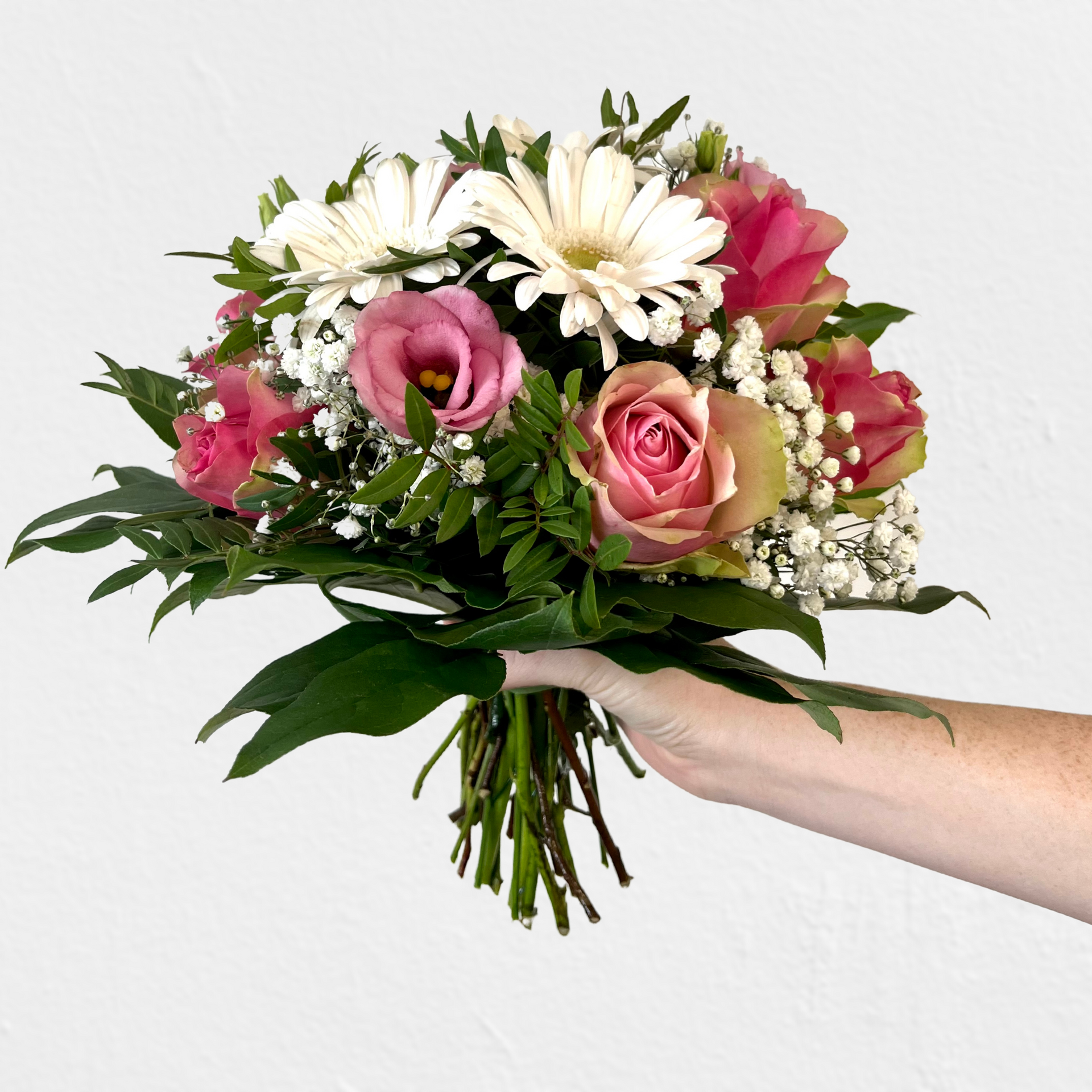 Timms eleganter Gruß